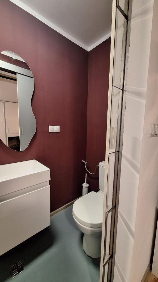 Swanhome - Central Apartment Клуж-Напока Екстериор снимка